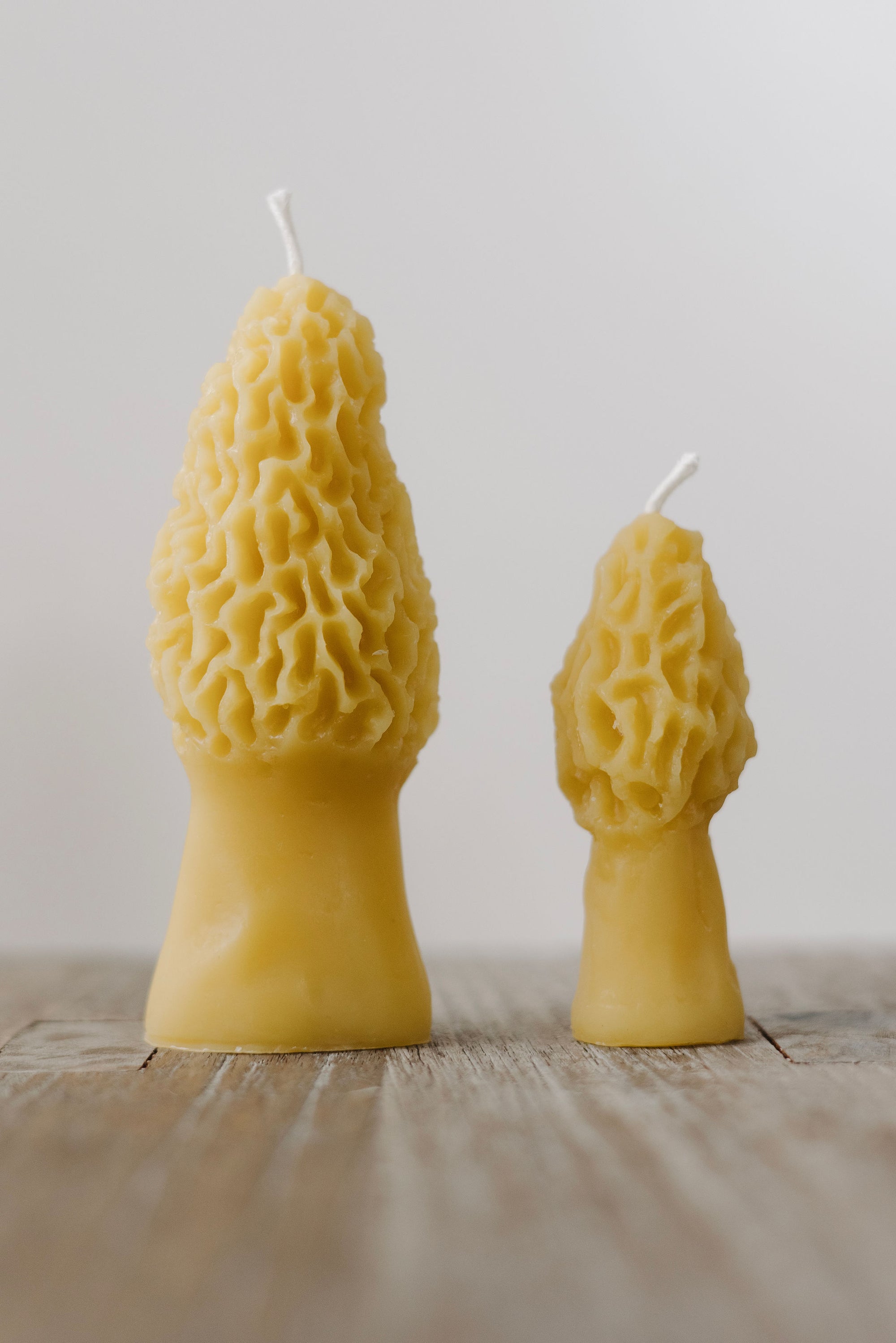 Hand-poured mini morel and large morel mushroom beeswax candle — natural, eco-friendly, clean-burning candle made from rescued bees in St. Petersburg, FL.