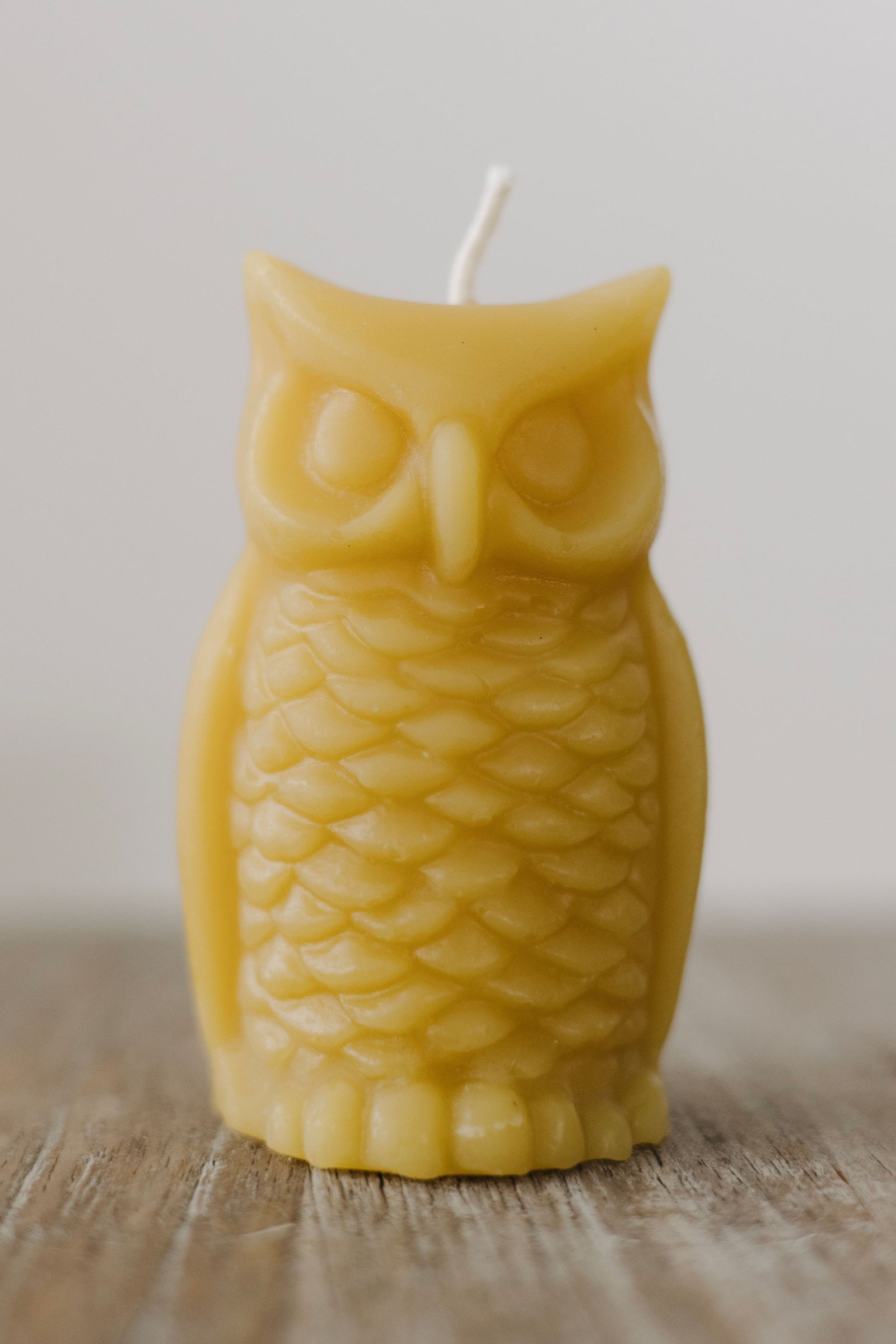 Hand-poured pure beeswax owl candle made in St. Petersburg, FL — eco-friendly, natural, chemical-free, sustainable candle from rescued bees.