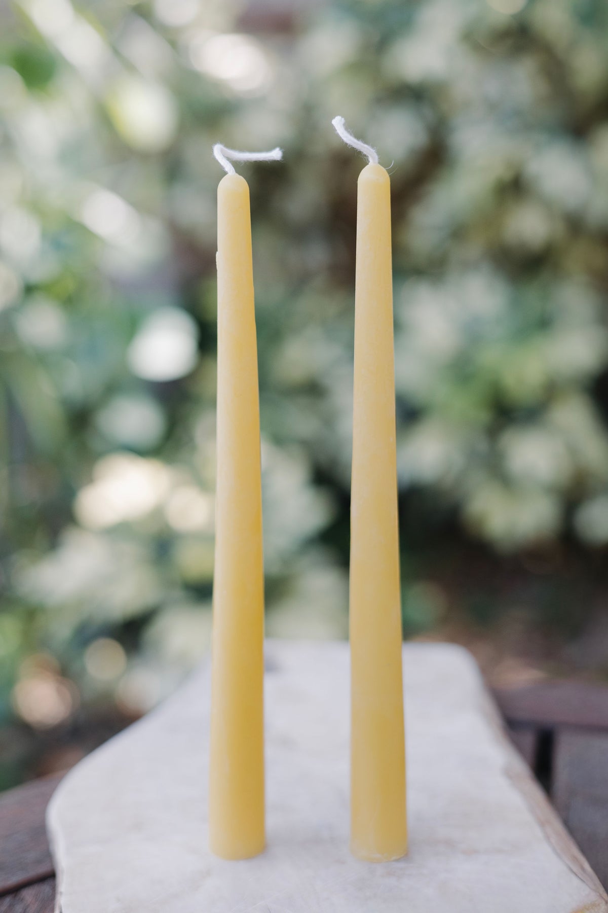 Handmade 10-inch pure beeswax taper candle from St. Petersburg, FL — natural, eco-friendly, clean-burning candle crafted from rescued bees.
