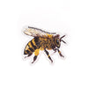 Vinyl Bee Sticker